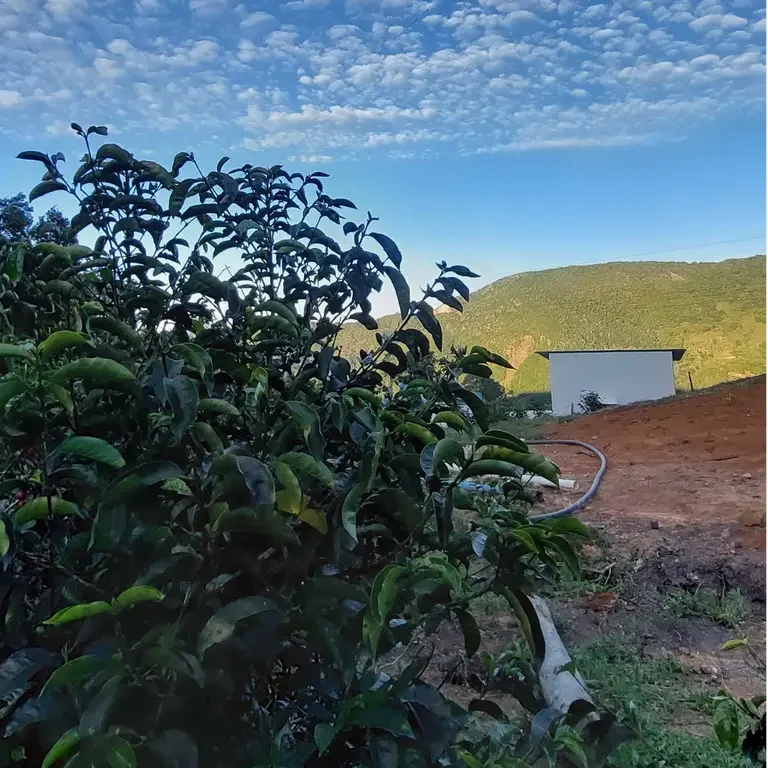 10-e1741130632270